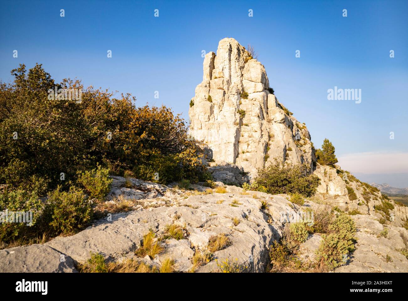 Frankreich, Bouche-du-Rhône, Aureille, Alpillen, Caisses von Jean Jean Stockfoto