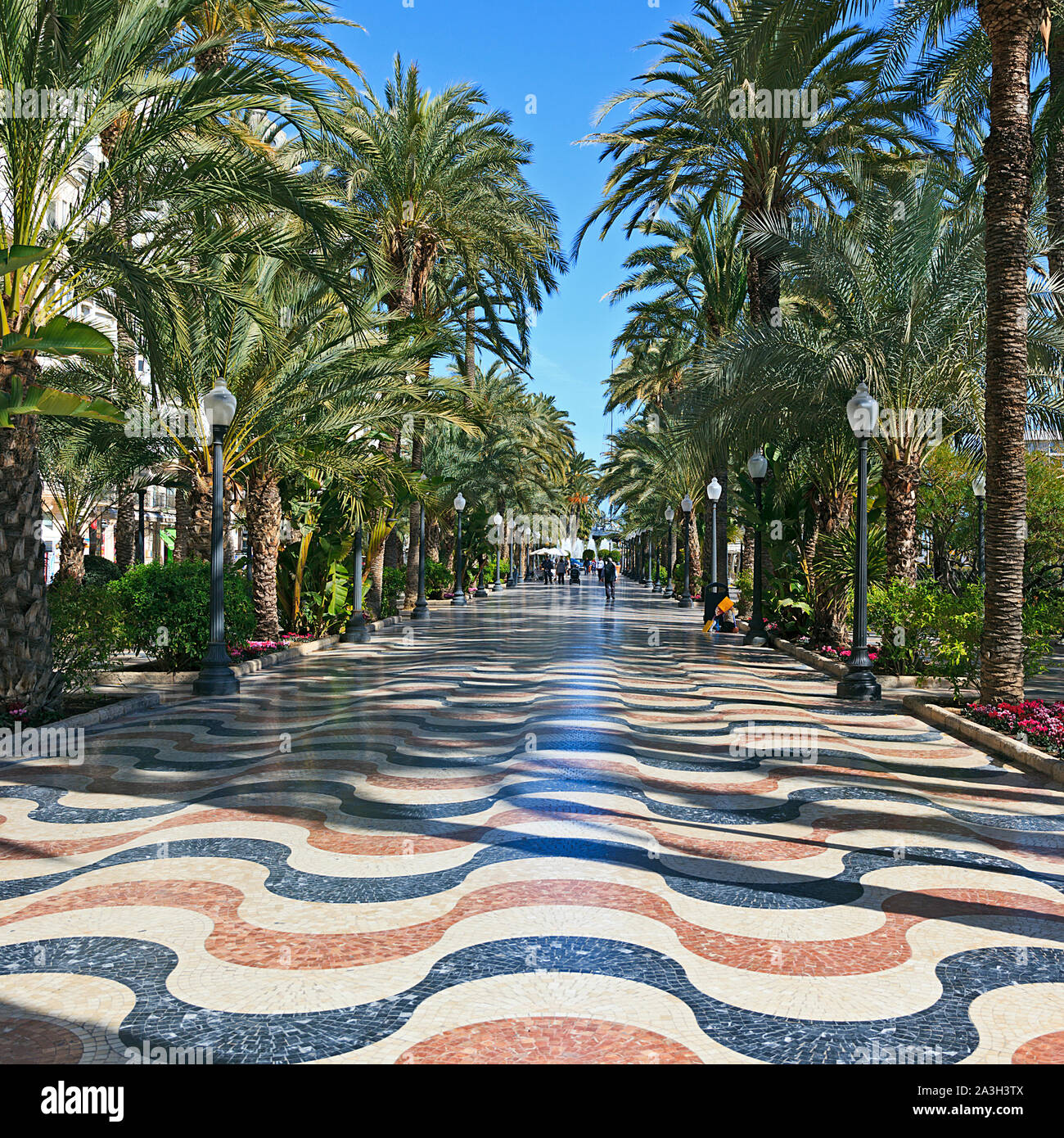 3D-Effekt von gewellte Fliesen- und ebnet entlang der Palmen gesäumten Promenade de Espana in Alicante, Spanien. Stockfoto