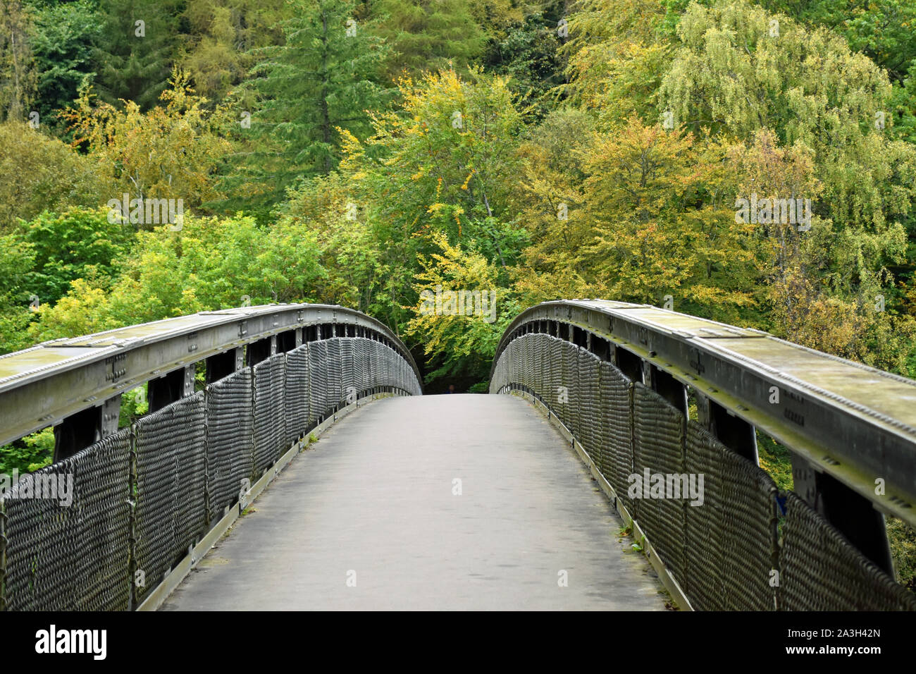 Gebogene Brücke über den Fluss am Loch Faskally, Scottish Highlands. Symmetrisch und von der Mitte der Brücke zeigt Seiten übernommen und den Wald hinaus. Stockfoto