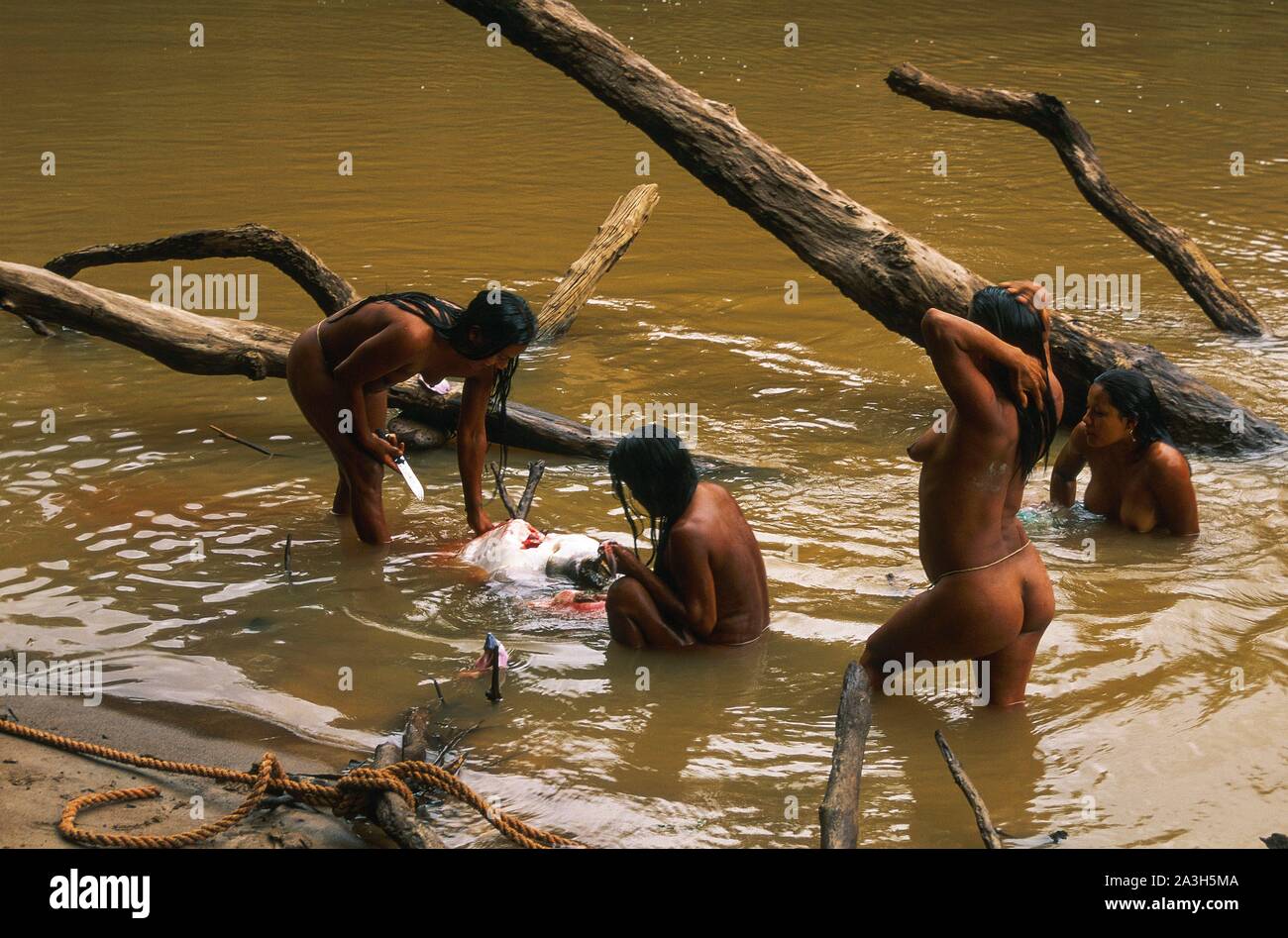 Ecuador, Orellana, Rio Cononaco, Familie Angeln, die huaorani sind eines der letzten zwei Stämme der Jäger und Sammler leben im Herzen der Regenwald von Ecuador Stockfoto