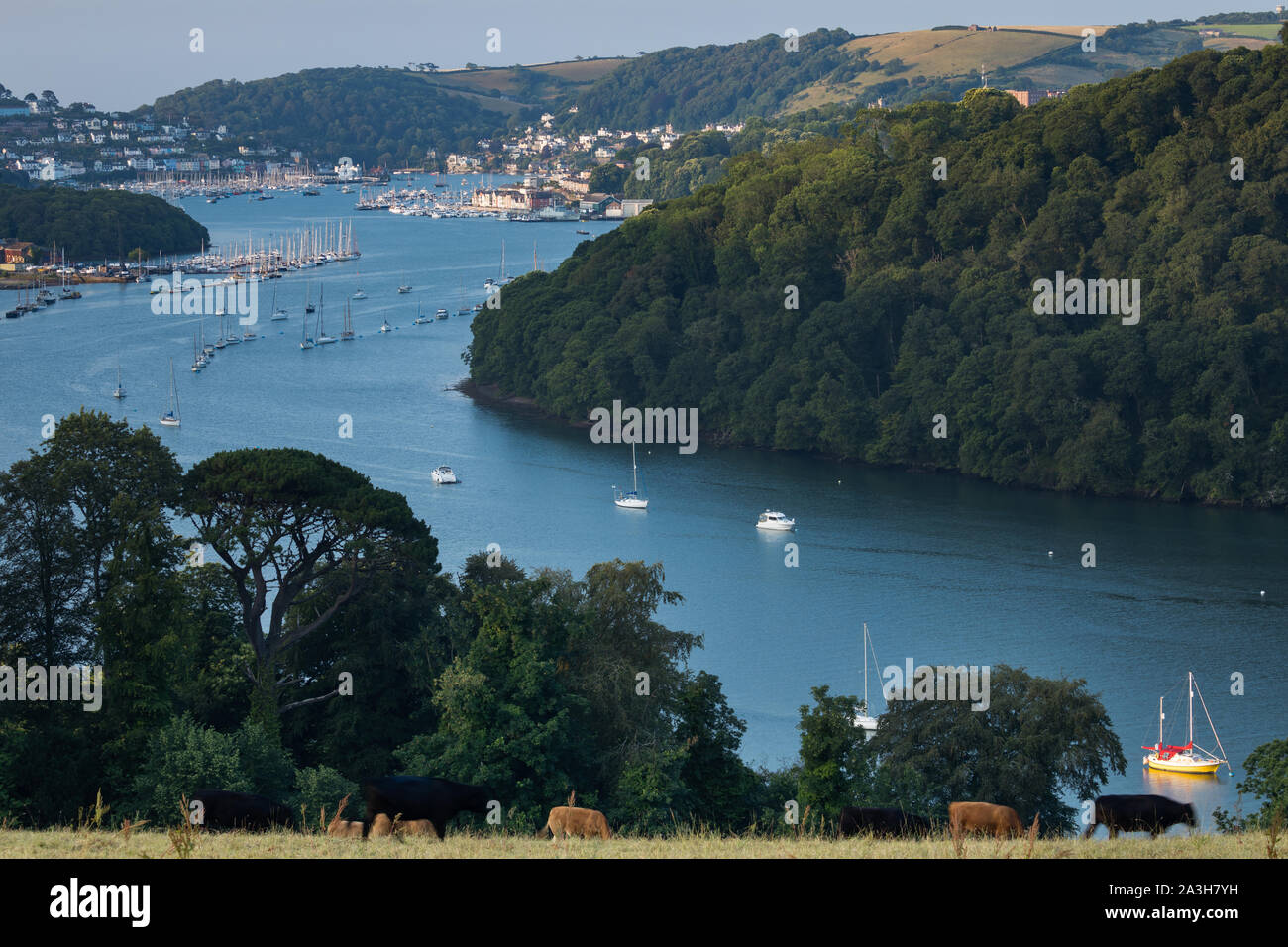 Kingswear, Dartmouth und der Dart Flussmündung von Greenway, Devon, England, Großbritannien Stockfoto