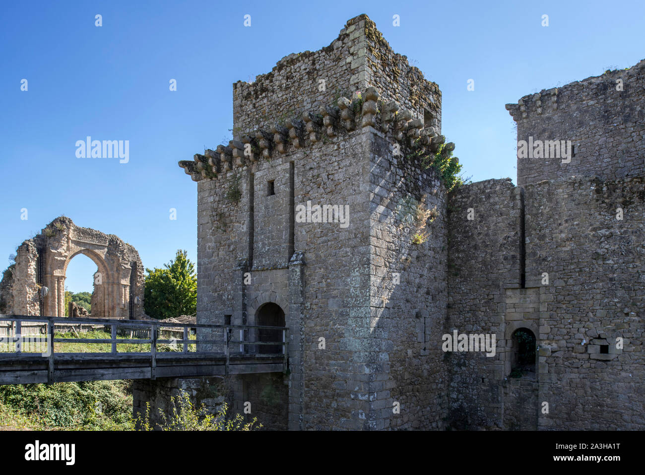 Ruinen der mittelalterlichen Château de Tiffauges, auch als das Château de Barbe-bleue/Herzog Blaubarts Burg, Vendée, Frankreich Stockfoto