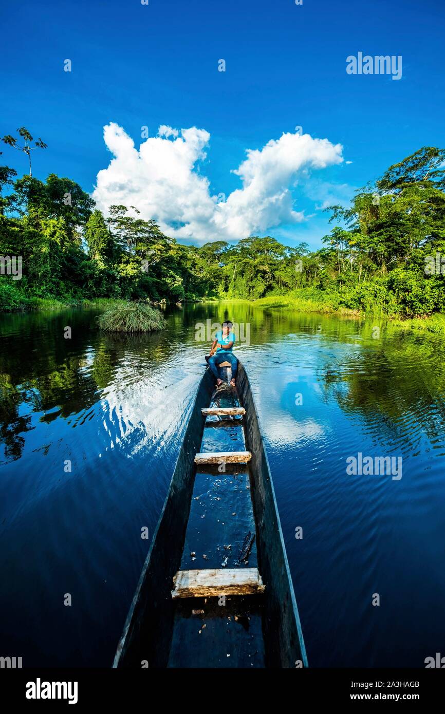 Ecuador, Tena, immersion Leben Erfahrungen mit der Waoranis des Rio Nushino, Tetapari laguna Stockfoto