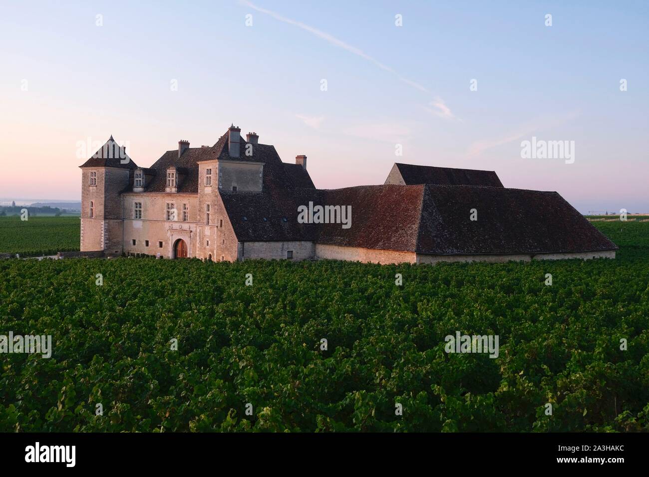 Frankreich, Cote d'Or, Vougeot, kulturellen Landschaft des Burgund Klimas als Weltkulturerbe von der UNESCO, Cote de Nuits, das Schloss und die Reben bei Sonnenaufgang Stockfoto
