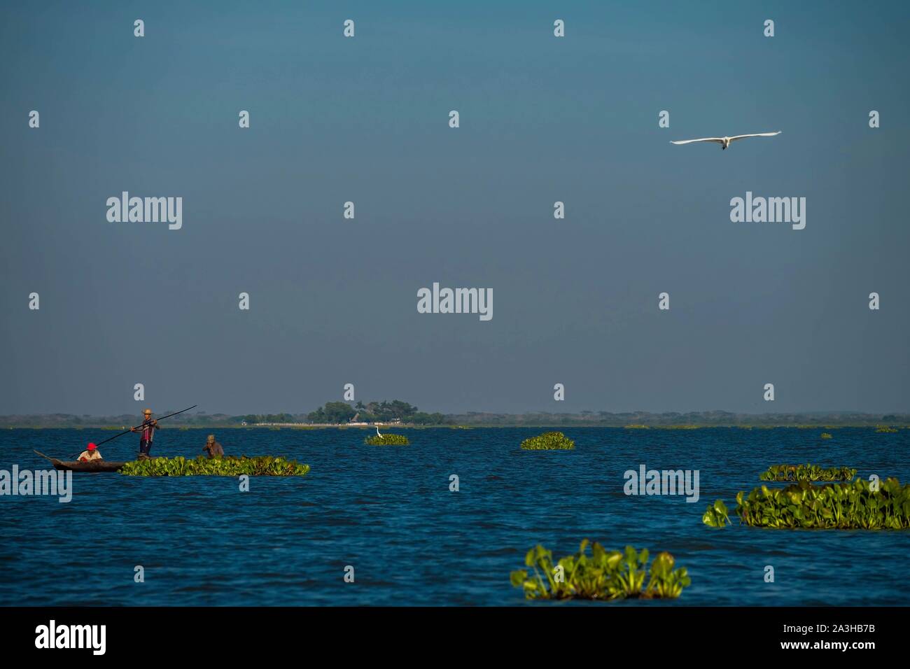 Kolumbien, Magdalena, pirogue Reise auf dem Rio Magdalena zu den großen Sumpf, oder Ci? Naga, von Piji? o Stockfoto