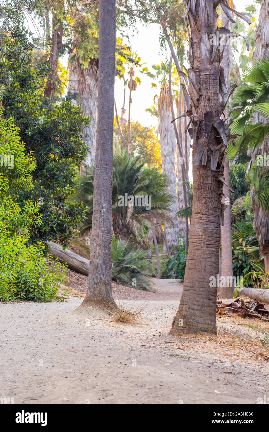 Nature Trail im Balboa Park. San Diego, Kalifornien, USA. Stockfoto