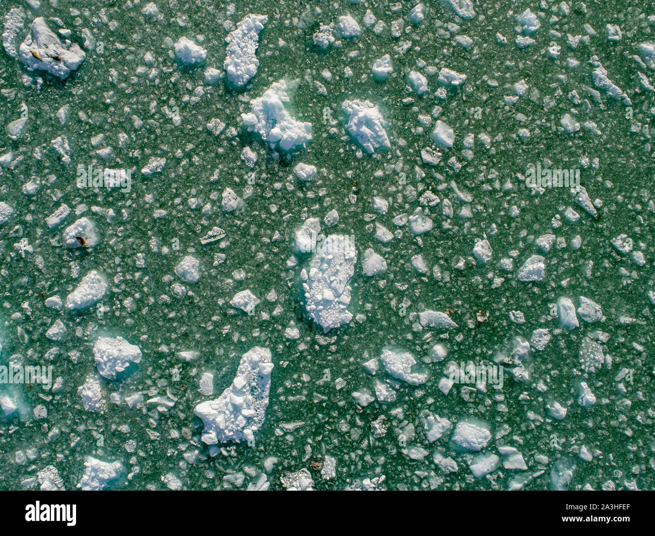 USA, Alaska, Tracy Arm-Furten Terror Wildnis, Overhead Luftaufnahme der zerstreuten Gebiet der eisberge von Dawes Gletscher in Endicott Arm gekalbt Stockfoto