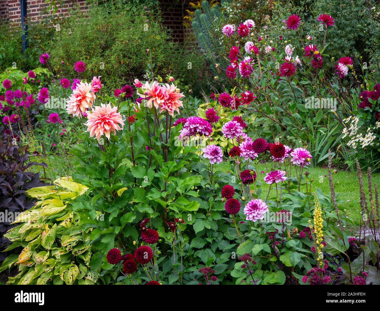 Chenies Manor versunkenen Garten Dahlie Zeit. Schichten von Bepflanzten bunten Dahlie Sorten. Dahlie 'Labyrinth', 'Maroon Fox' und 'Creme de Cassis. Stockfoto