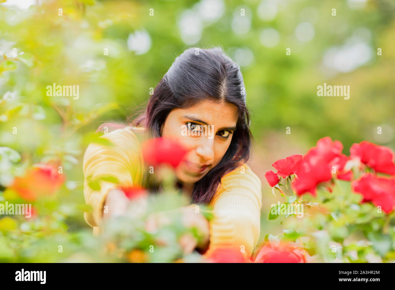 Junge Frau außerhalb schneiden Rosen Stockfoto