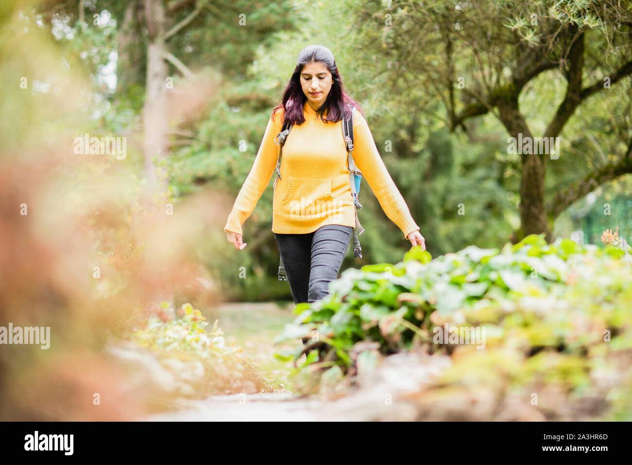 Junge Frau wandern im Wald Stockfoto