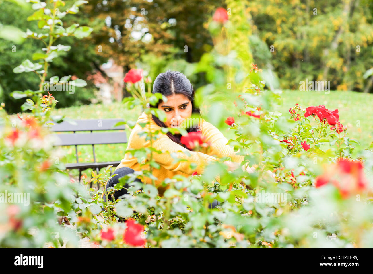 Junge Frau schneiden Rosen Stockfoto