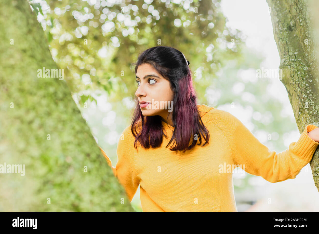Junge Frau auf der Suche zwischen Bäumen Stockfoto