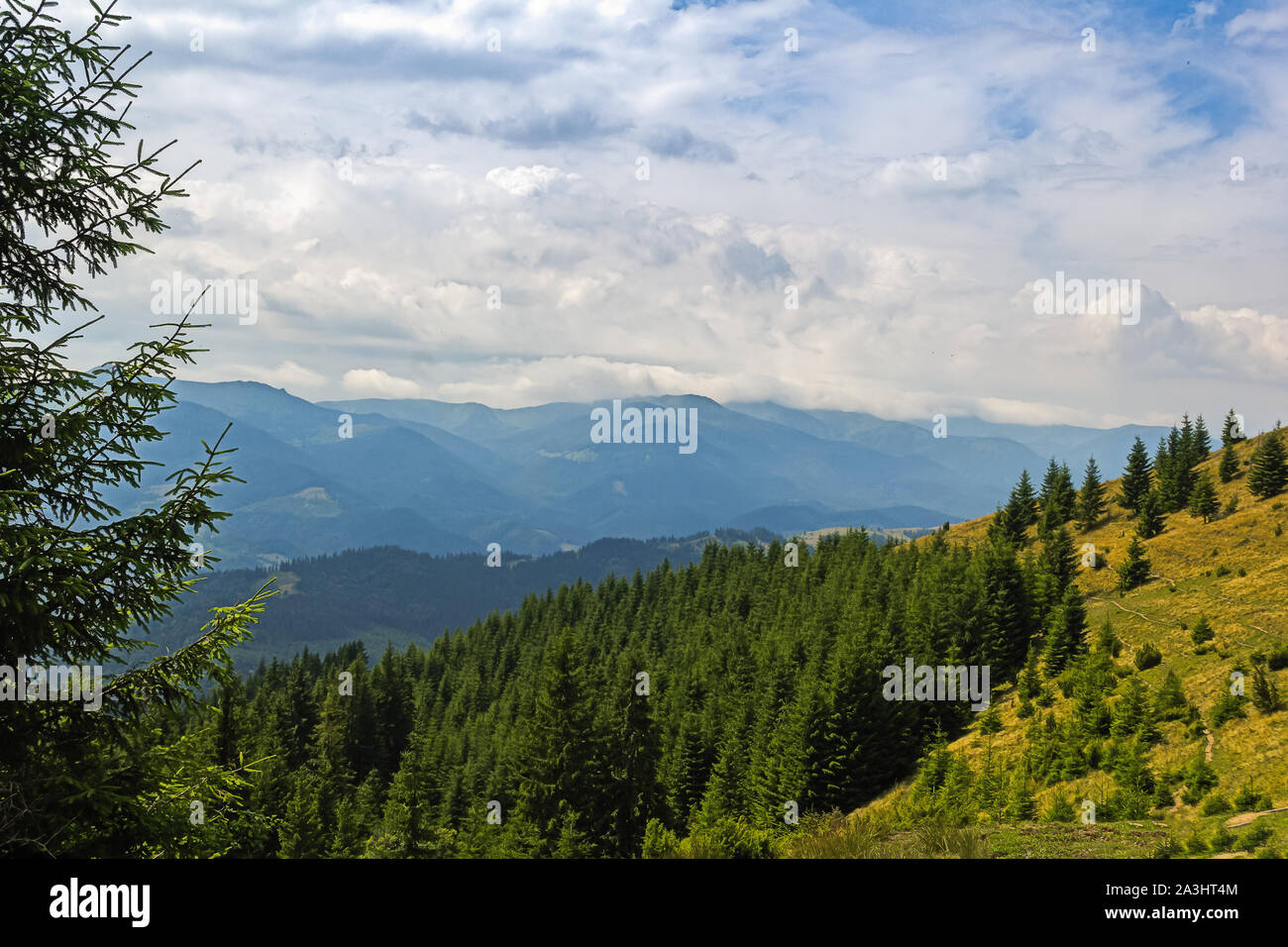 Sommer Landschaft in den Karpaten. Der Gipfel von Wolken und Nebel Stockfoto