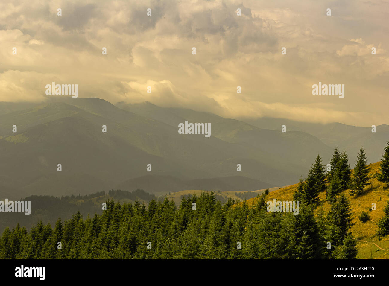 Sommer Landschaft in den Karpaten. Sonne durch die Wolken und Nebel Stockfoto
