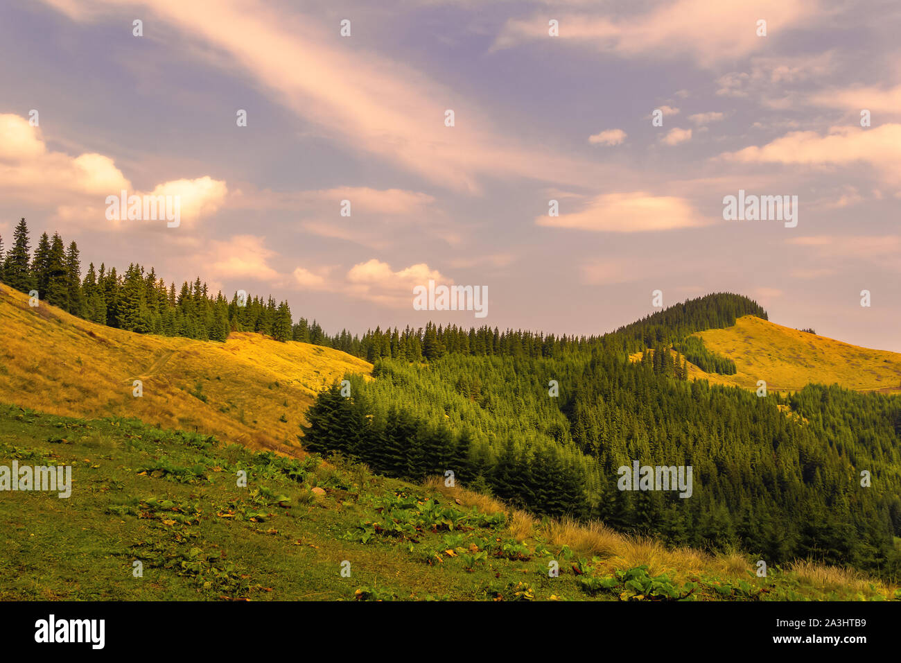 Sommer Landschaft in den Karpaten. Sonnenuntergang in den Bergen Stockfoto
