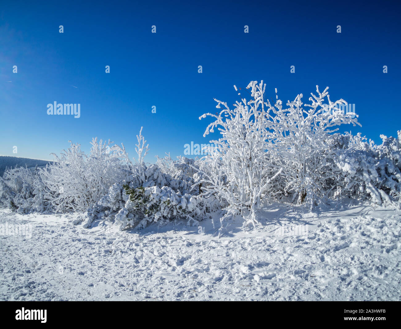 Winter Eindruck in Deutschland Stockfoto