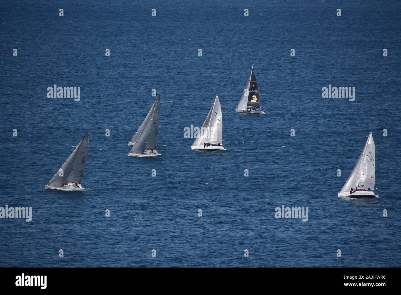 Segelregatta am Genfer See in den Hafen von Thonon-les-Bains Stockfoto