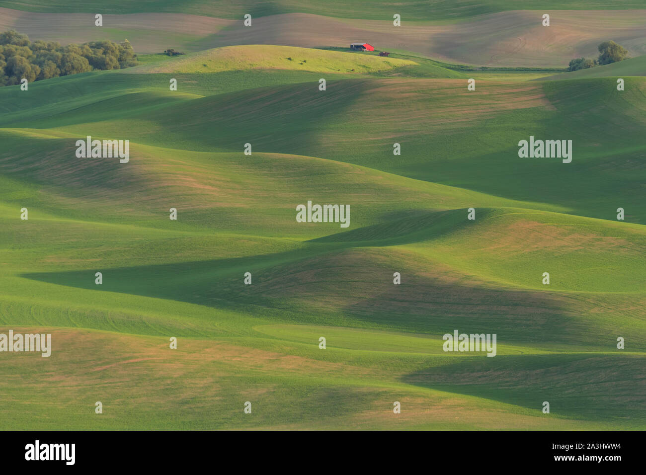 Steptoe Butte Stockfoto