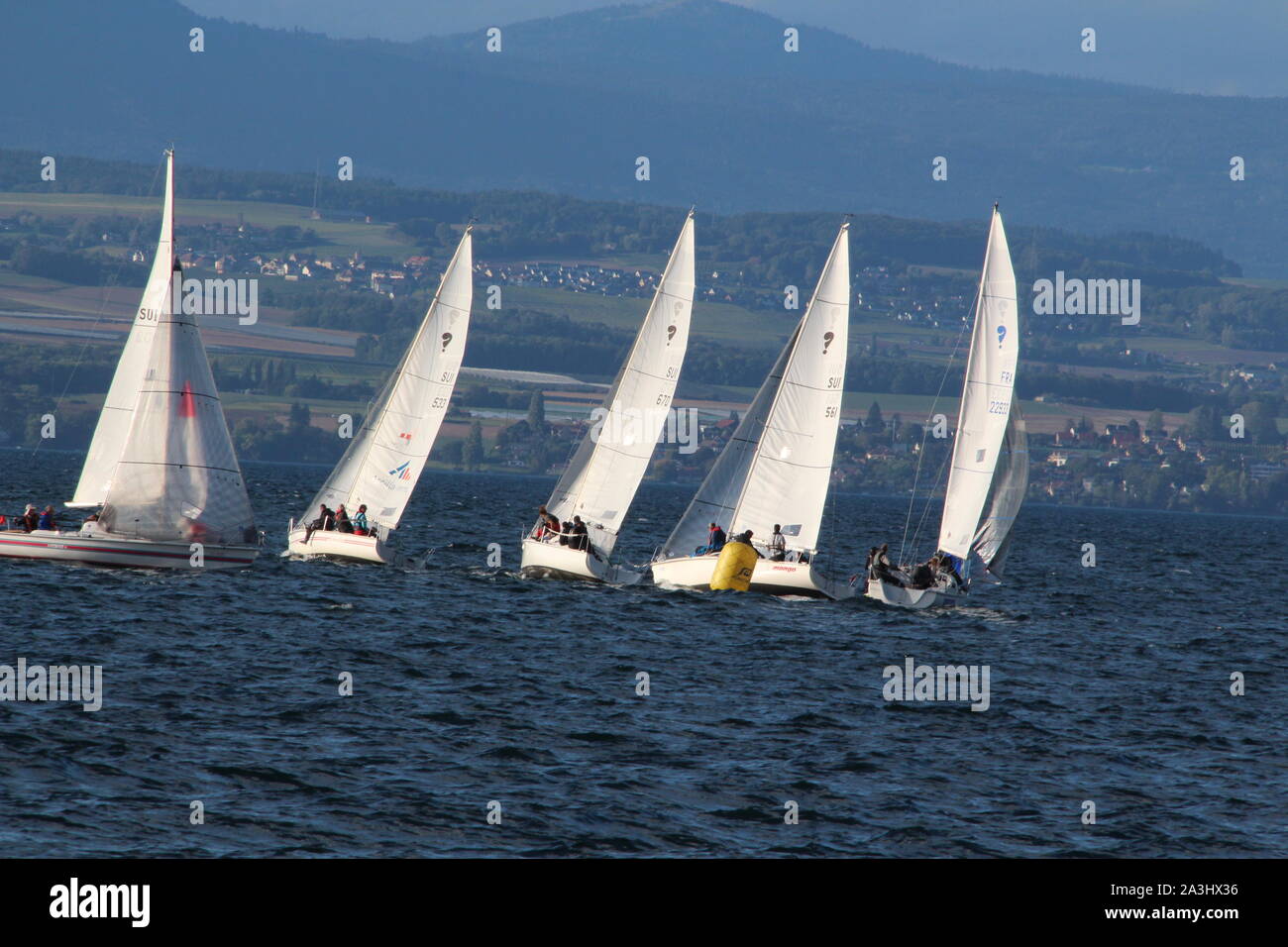Segelregatta am Genfer See in den Hafen von Thonon-les-Bains Stockfoto