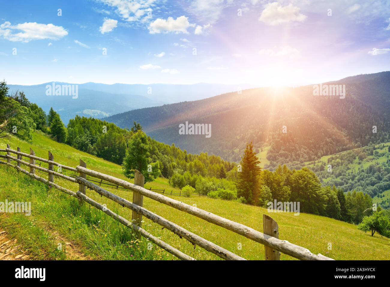 Morgenröte in den Bergen. Blick auf malerische Wiese in den Karpaten. Stockfoto