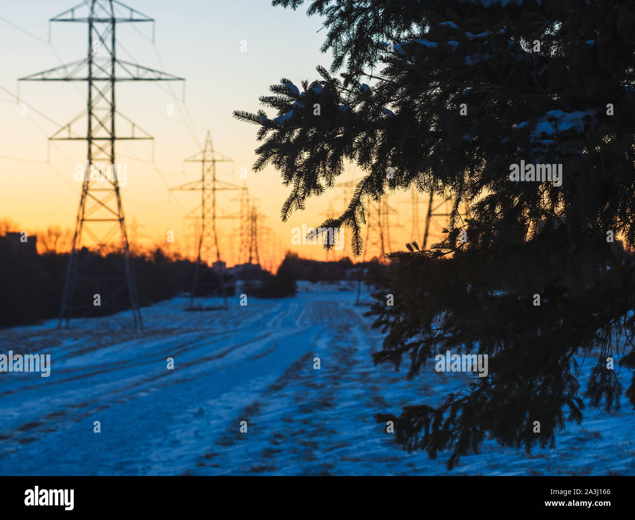 Ast vor Powerlines während des Sonnenuntergangs. Stockfoto