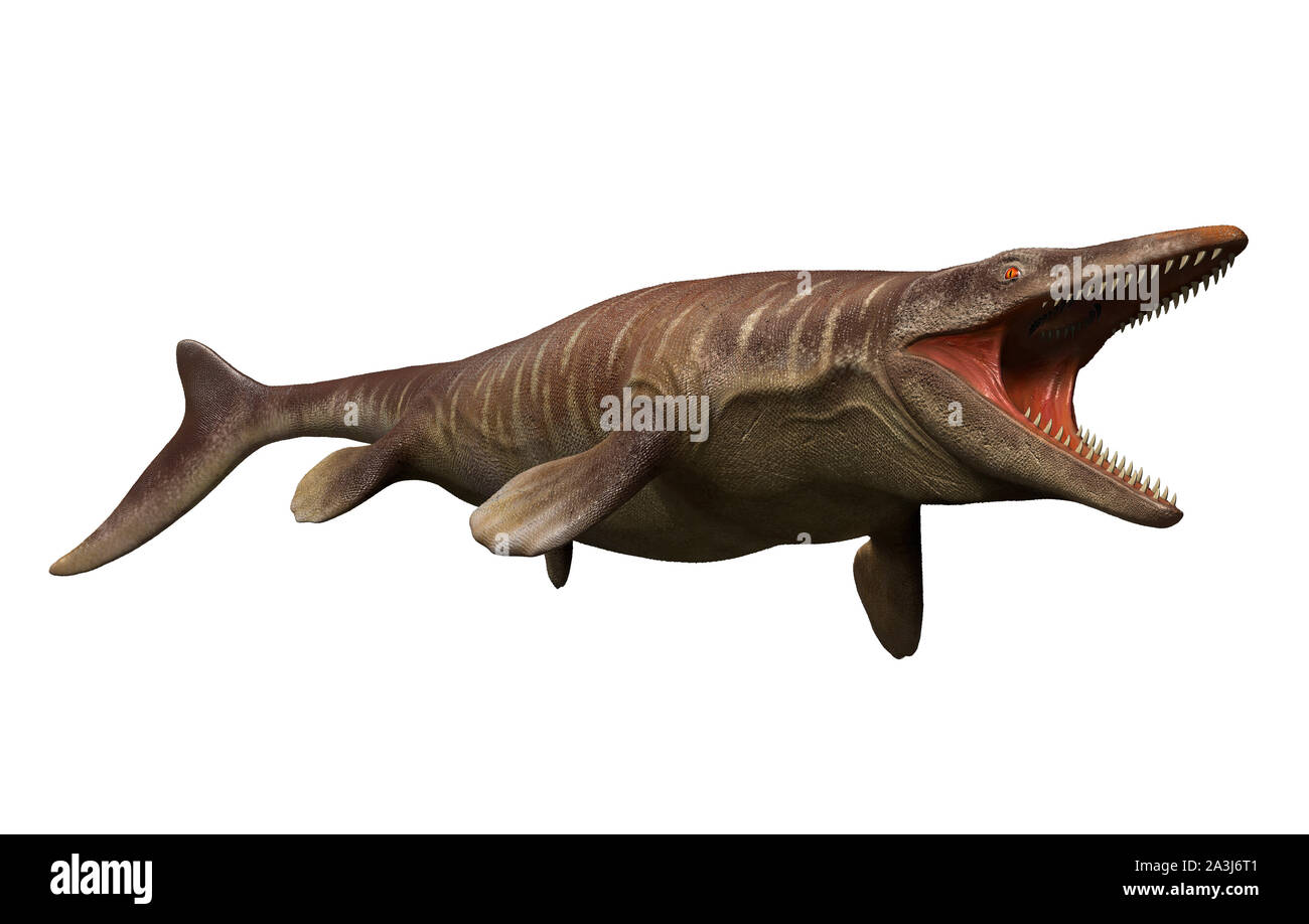 Tylosaurus pembinensis Stockfoto