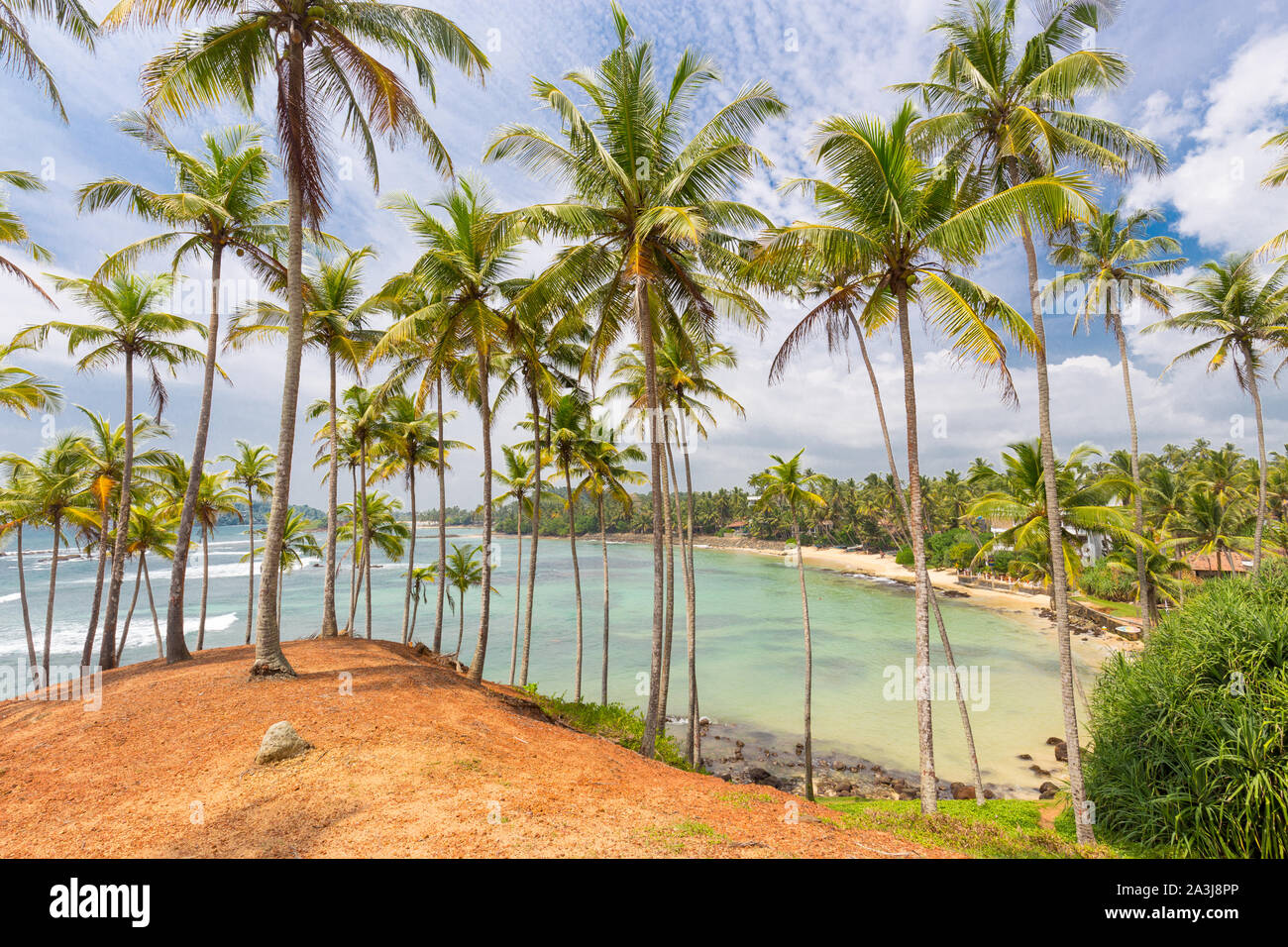 Tropischer Strand mit exotischen Palmen und Boote aus Holz auf dem Sand in Mirissa, Sri Lanka Stockfoto