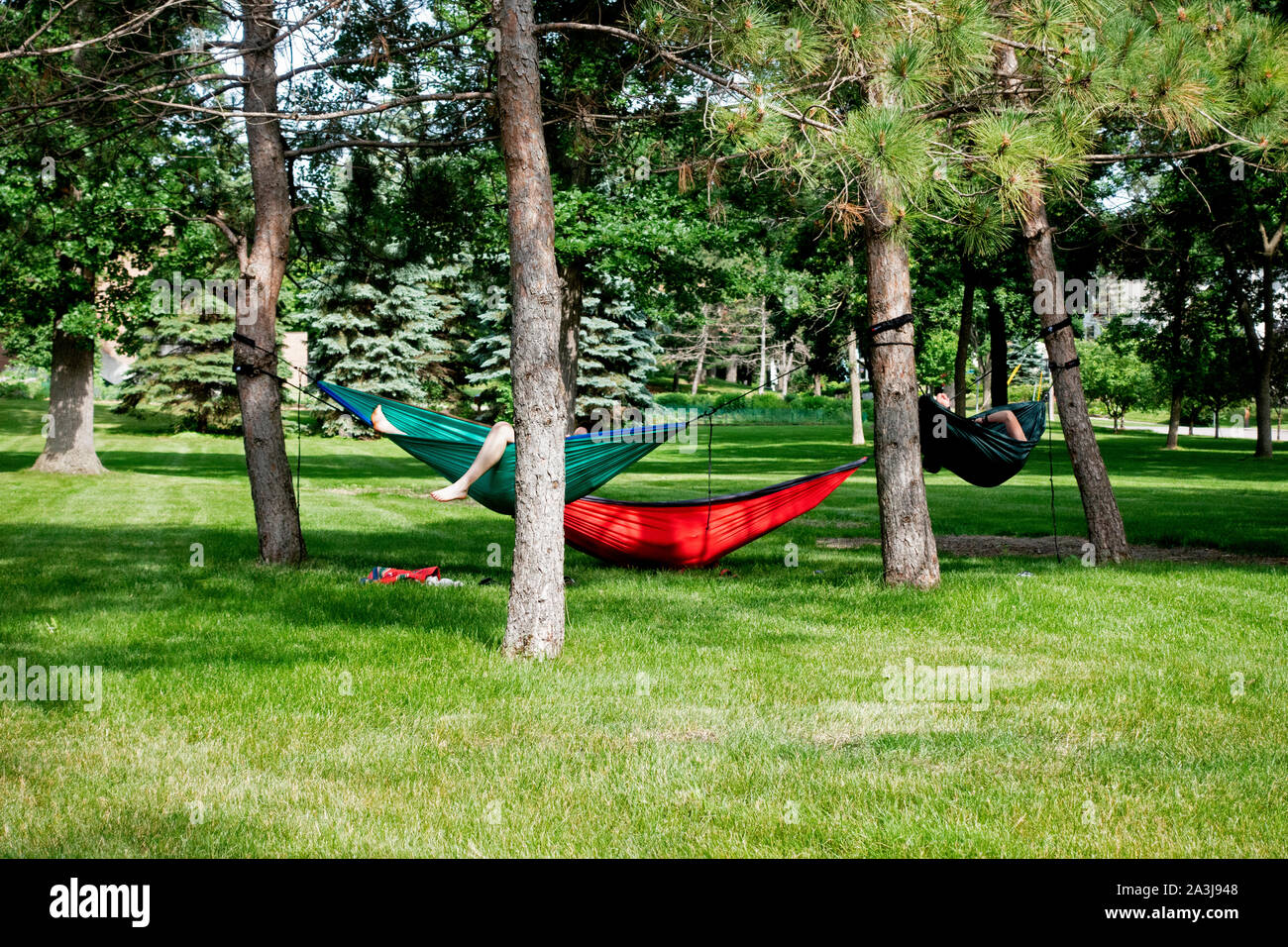Drei Leute Faulenzen und Relaxen in Hängematten entlang des Mississippi River Boulevard. St. Paul Minnesota MN USA Stockfoto