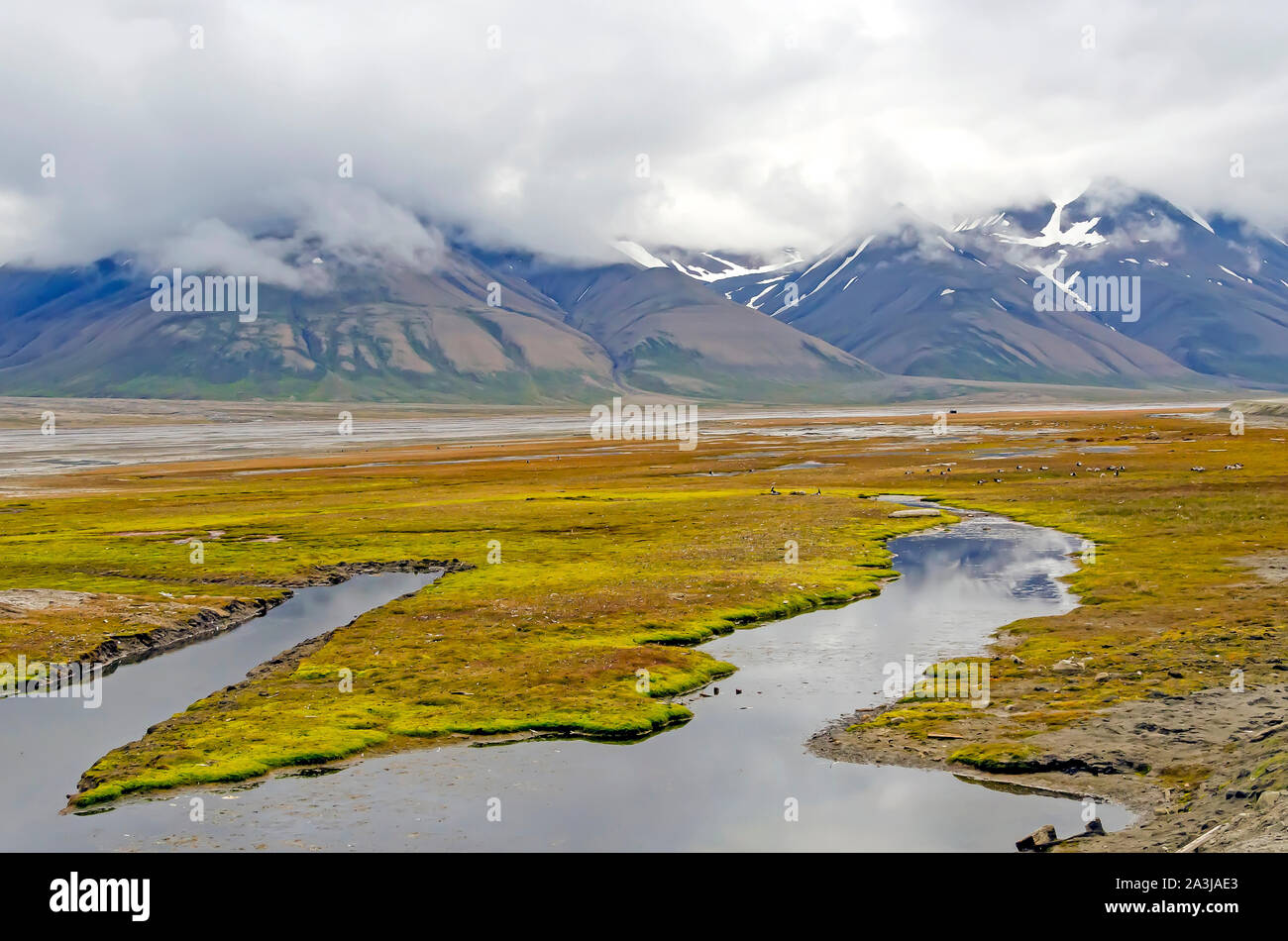 Longyear Fluss in der longyear Tal, Svalbard, Norwegen Stockfoto