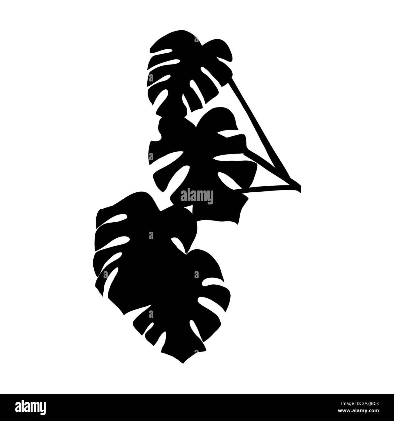 Monstera Blätter silhouette Vector Illustration. Tropischen Regenwald Laub. Exotische immergrüne flora Zweig auf weißem Hintergrund. Monochrome botanischen Poster, Banner Design Element Stock Vektor