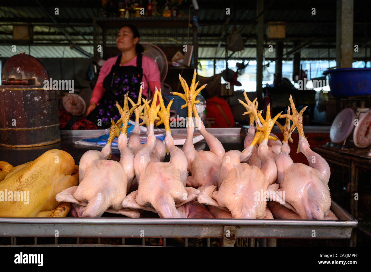Thai Frau an ihr Geflügel ausgeht, Khlong Toey Market, Bangkok, Thailand Stockfoto