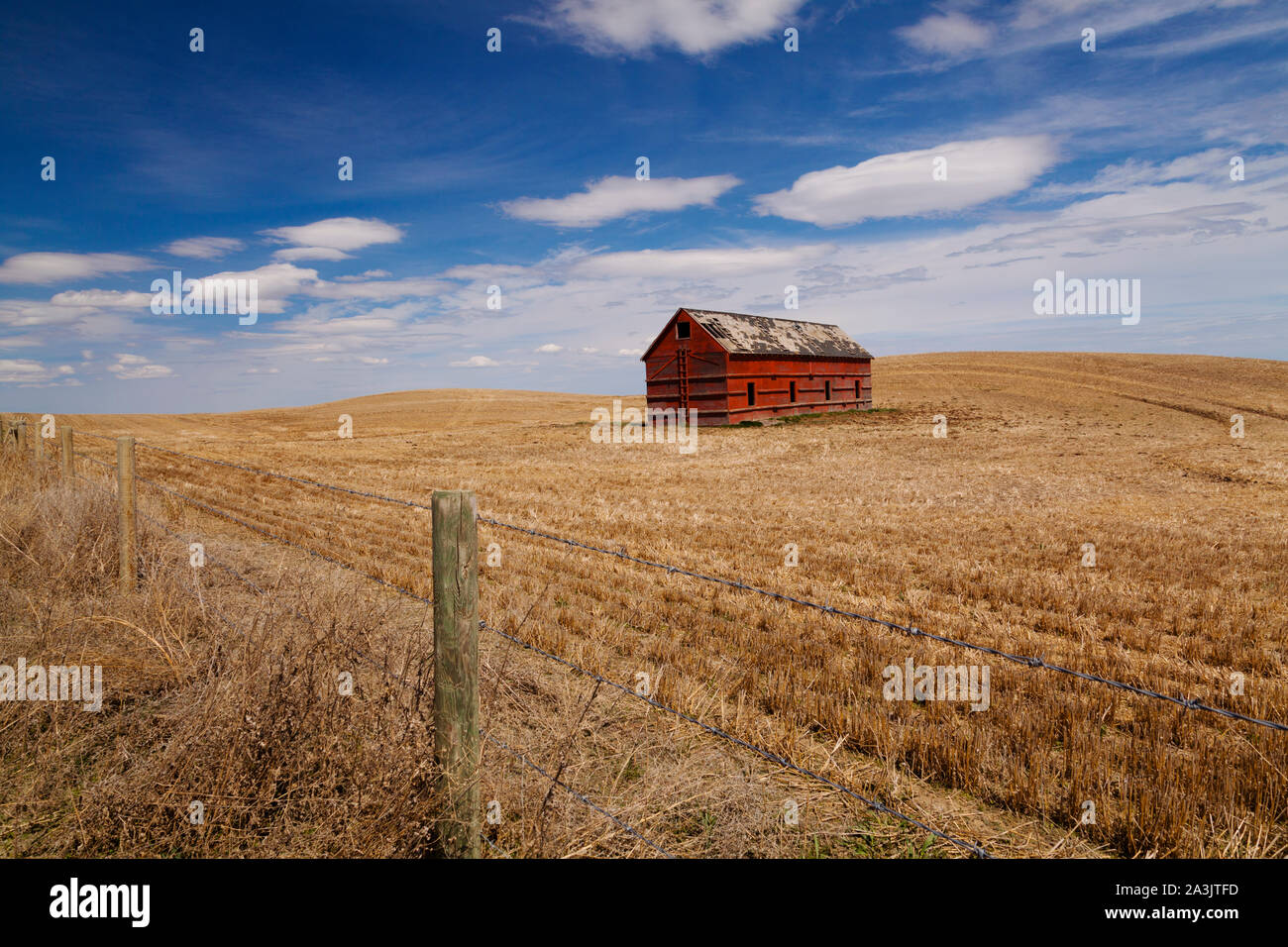 Einsame rote Scheune in der goldenen Felder der östlichen Alberta, Kanada Stockfoto