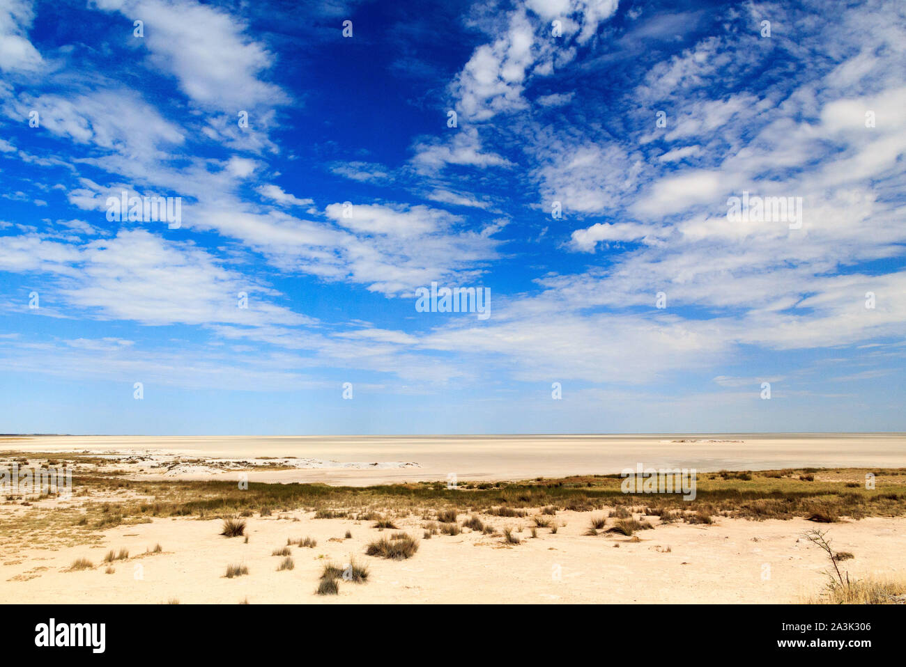 Die riesigen Salzpfanne des Etosha National Park, Namibia, Afrika Stockfoto