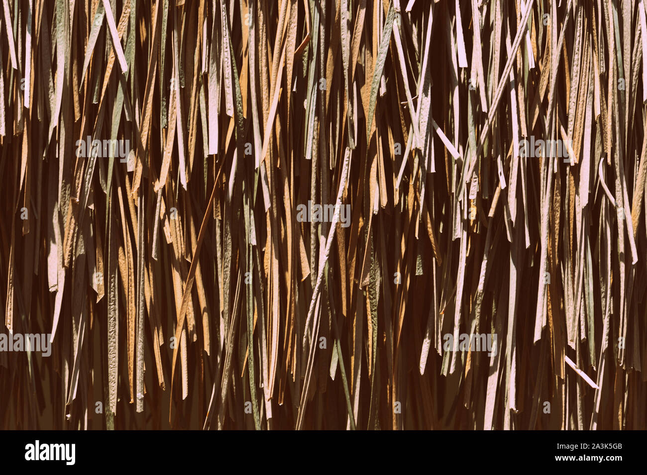 Palm Dach Textur hautnah. Tropischen Hintergrund Stockfoto