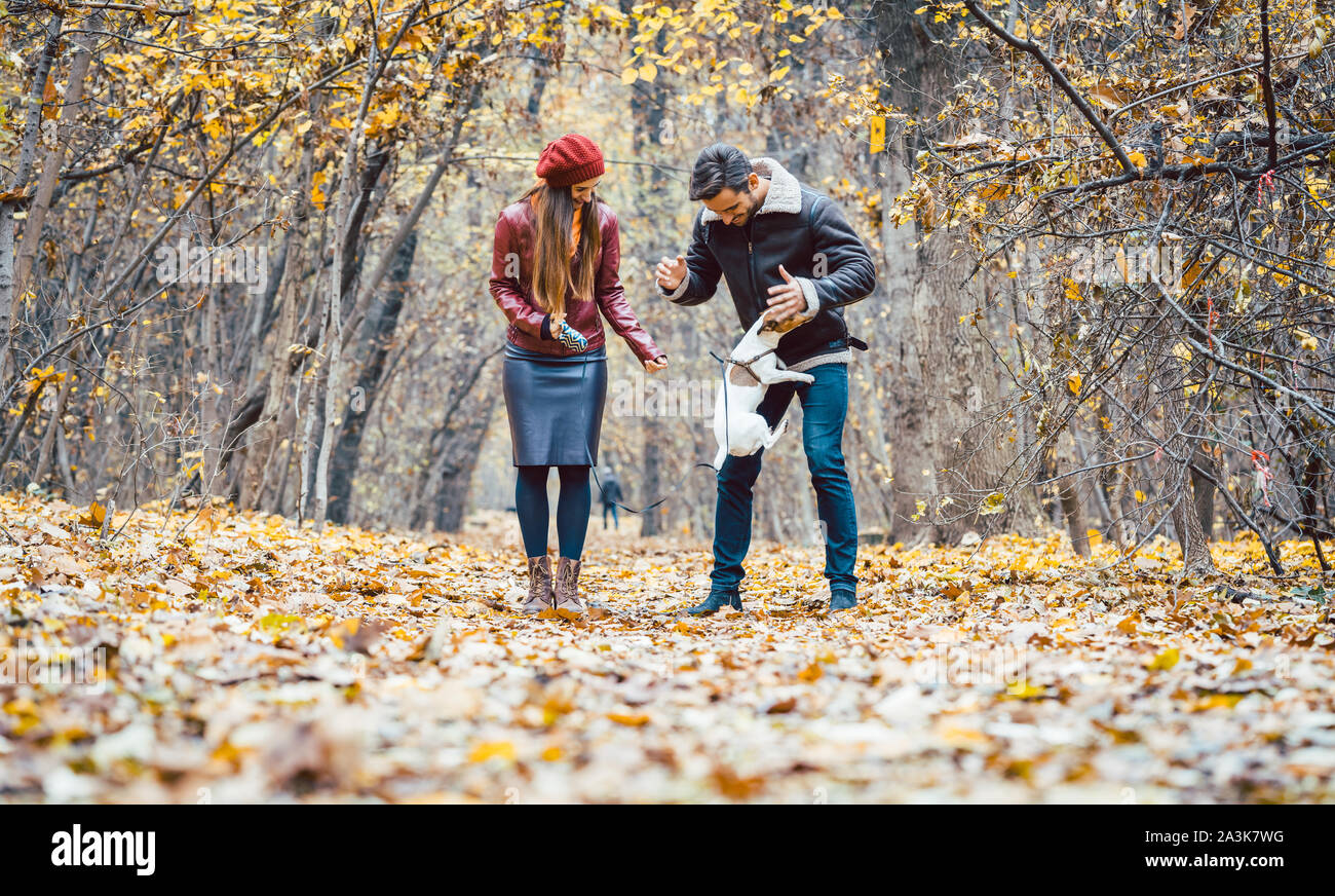 Frau und Mann den Hund streicheln gehen Sie in einen bunten Herbst Einstellung Stockfoto