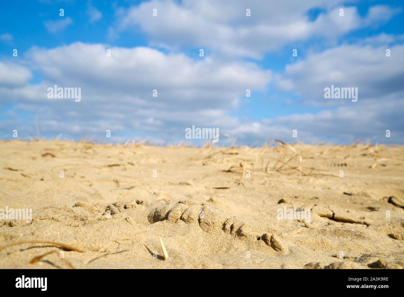 Sindu-ri Coastal Dune in Korea. Stockfoto