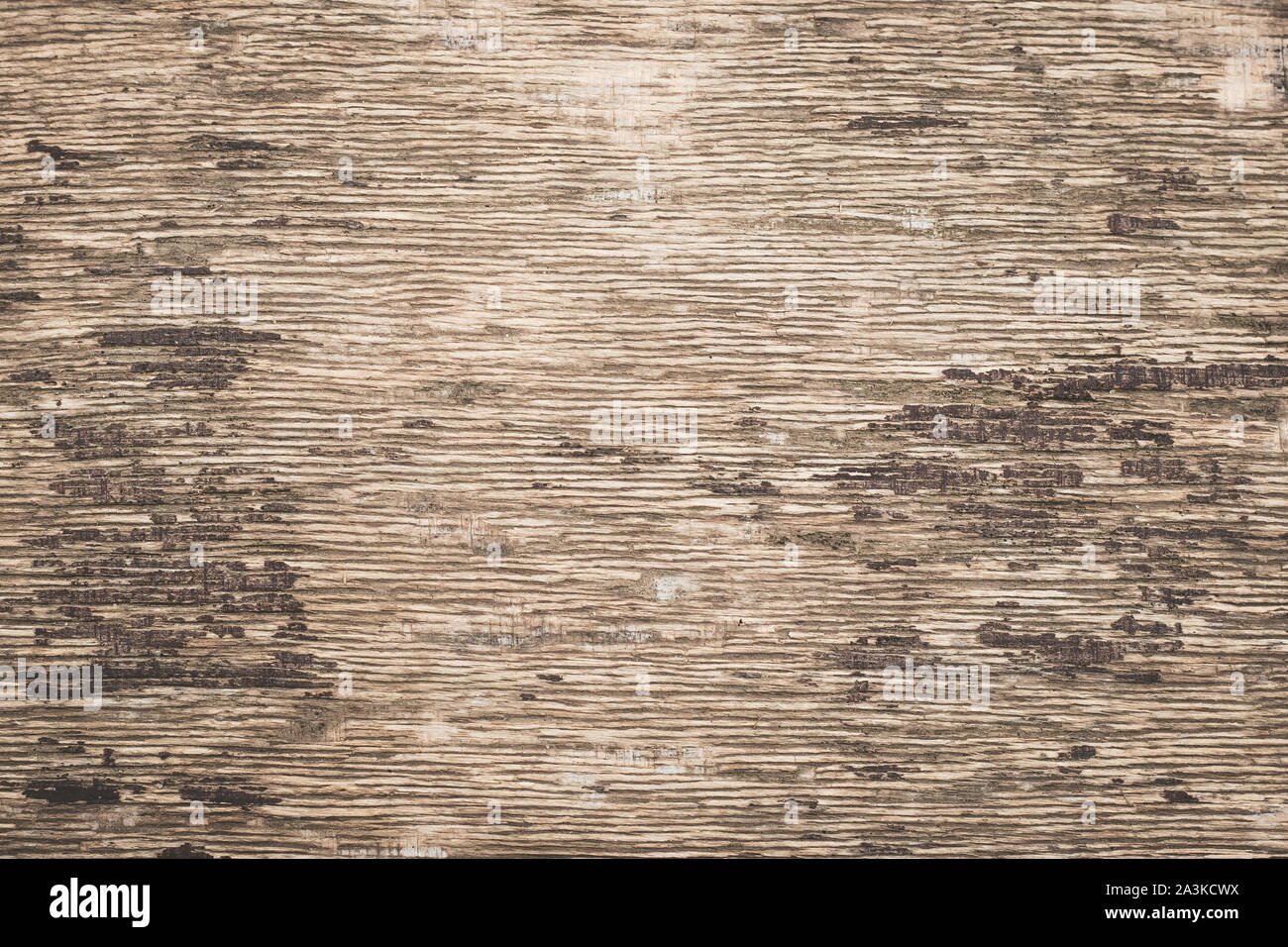 Sperrholz Hintergrund. Altes Papier Textur, Kulisse. Retro Stil Oberfläche, Holz- schmutzige zerkratzt Wand. Vintage rustikal Muster der Hellbraun. Stockfoto