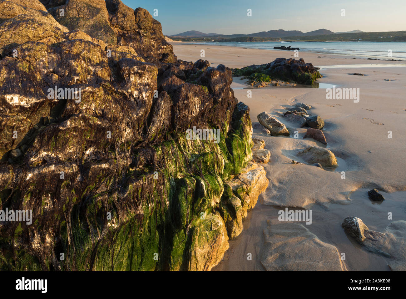 Felsen mit Seepocken und Algen auf fünf Fingern Strang, Trawbreaga Bay und Dunaff Kopf von Soldaten Hill, Halbinsel Inishowen, Co Donegal, Irland Stockfoto