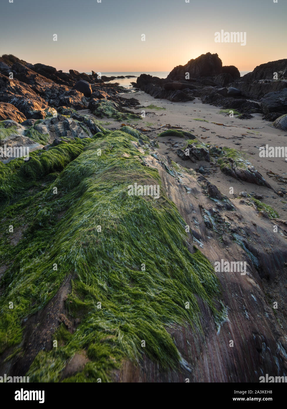 Felsen mit Algen und Flechten am Strand von Kinnagoe Bay bei Sonnenaufgang, Halbinsel Inishowen, Co Donegal, Irland Stockfoto