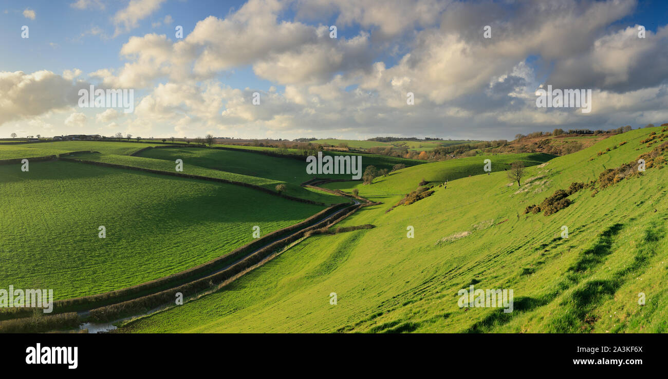 Frühling im Tal zwischen Oborne und Poyntington, Dorset, England, Großbritannien Stockfoto