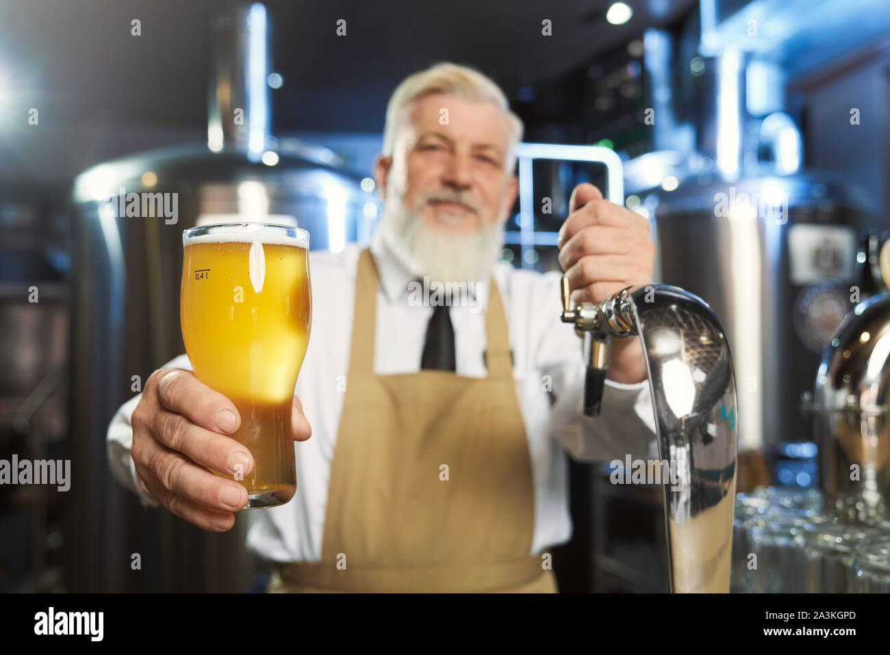 Bärtige Barkeeper in weißem Hemd, Krawatte, braun Schürze Holding kalten Glas mit Lagerbier. Stattlich, ältere Barkeeper in mini Brauerei, auf Kamera. Stockfoto