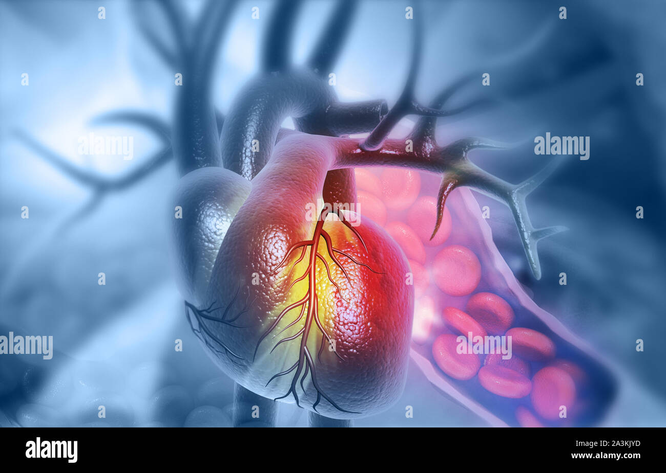 Anatomie des menschlichen Herzens mit roten bloodcells. 3D-Darstellung Stockfoto