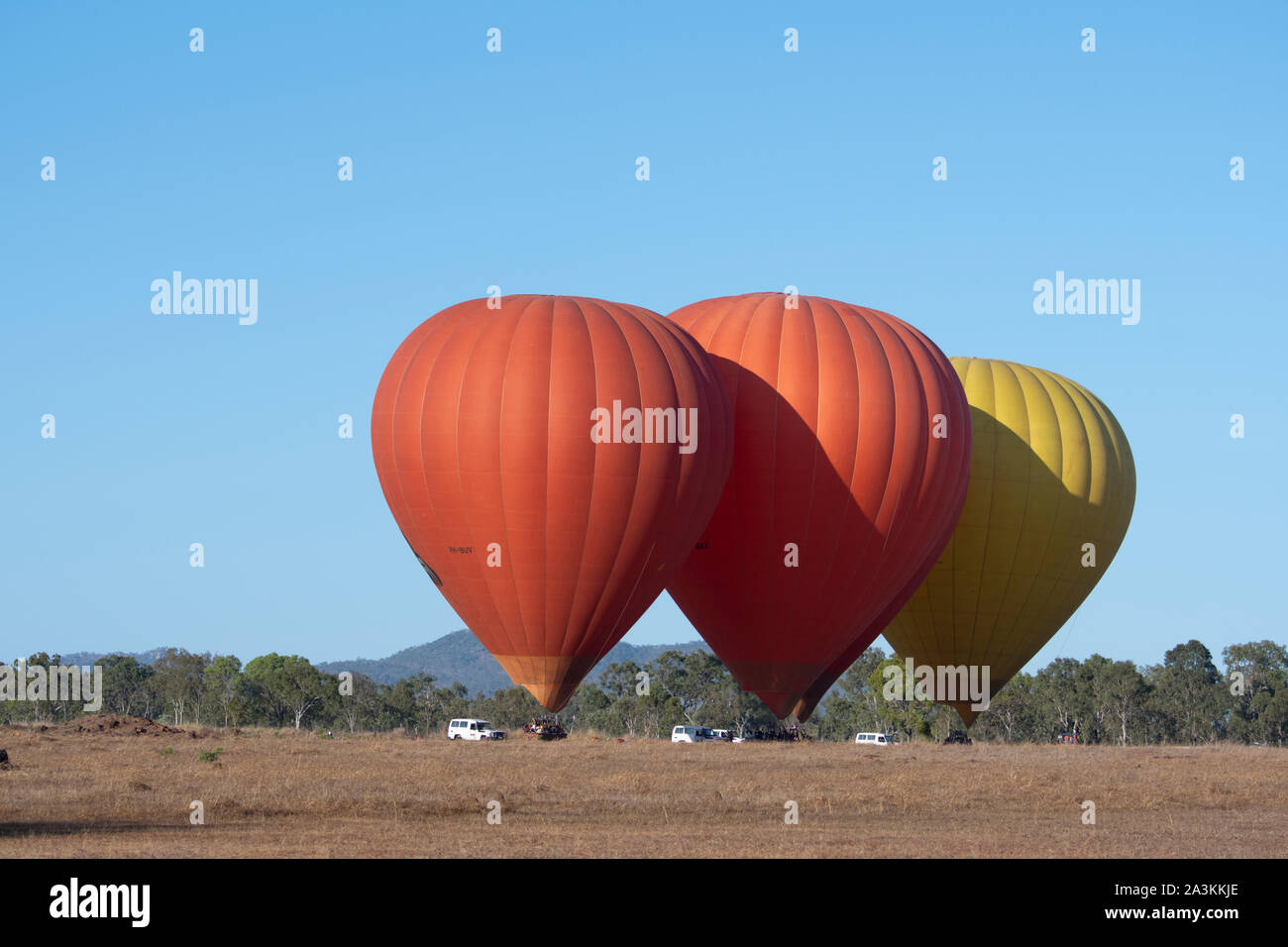 Heißluftballons in einem Feld in der Dämmerung vor dem Aus, Mareeba, Far North Queensland, FNQ, QLD, Australien Stockfoto