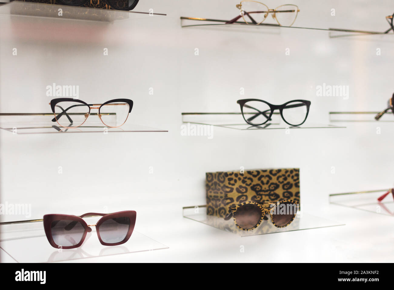 Elegante Sonnenbrille in einem Speicher auf einem Showcase. Stockfoto
