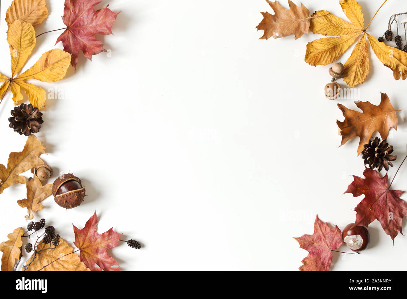 Herbst Komposition mit bunten Laub auf weißem Hintergrund. Flach, Ansicht von oben, kopieren. Stockfoto