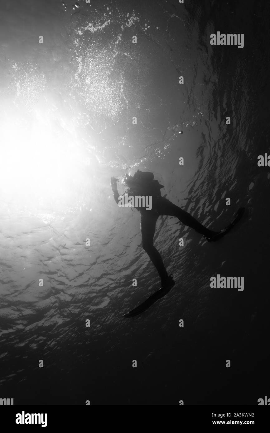 Scuba Diver silhouette Unterwasser. Direkt unterhalb der Scuba Diver Stockfoto
