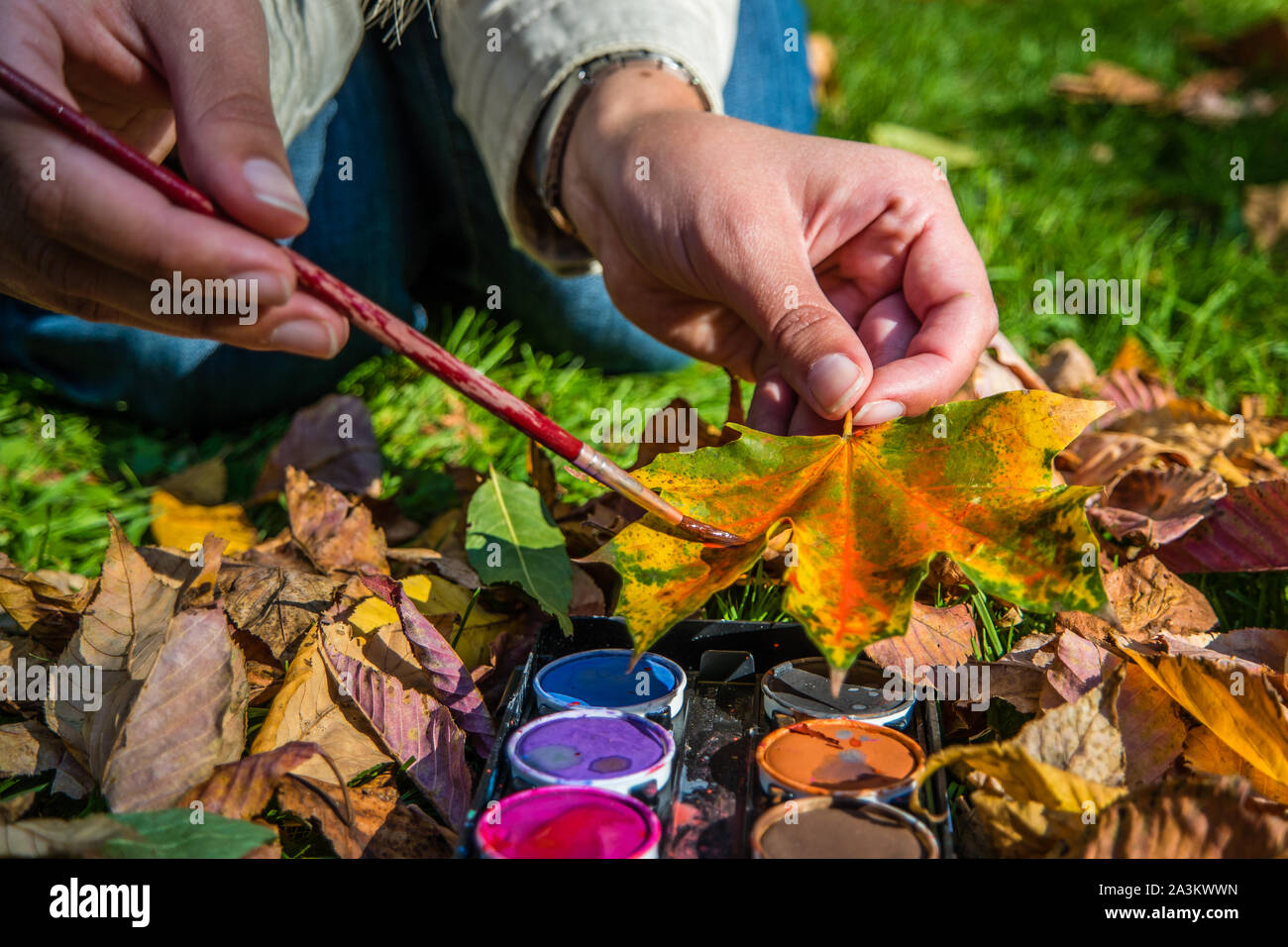 Maple Leaf Malerei Kunsthandwerk Kindergarten Stockfoto