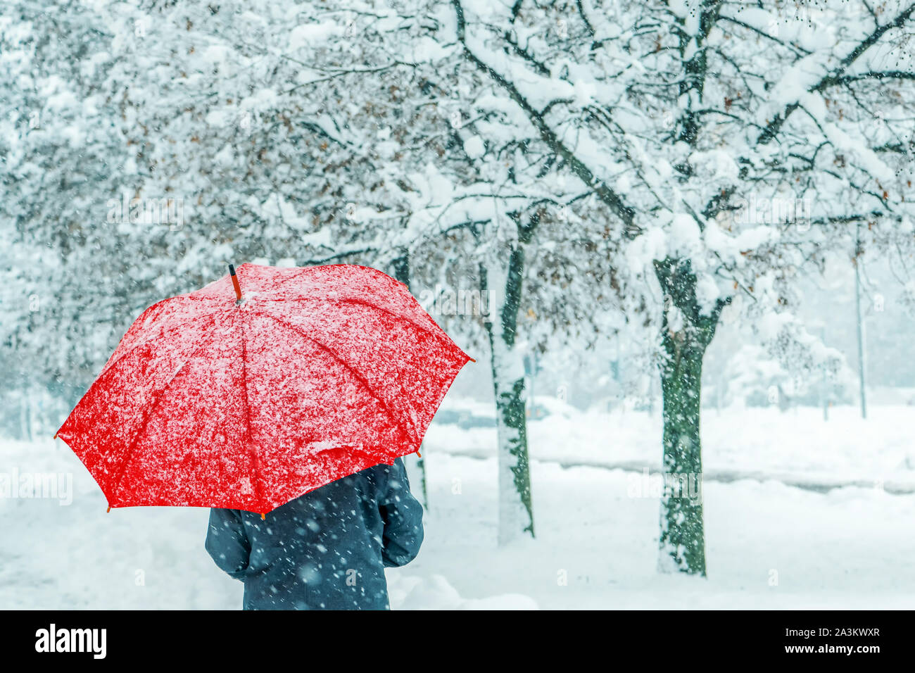 Frau unter roten Regenschirm im Schnee genießen Der erste Schnee der Wintersaison Stockfoto