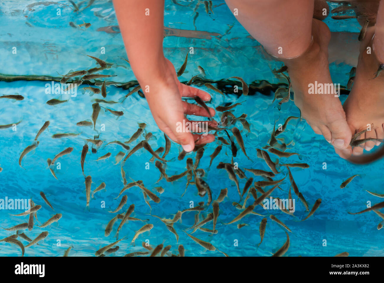 Doktor fisch Herde ist in einem Spa Aquarium in der Nähe der Hand des Kindes und die Füße. Garra rufa oder Rot garra Fisch Stockfoto