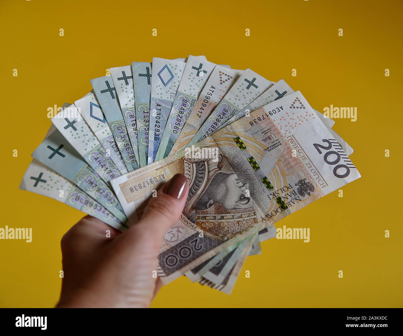 Auswahl von vielen 200, 100 und 50 Polnische Zloty Banknoten halten durch weibliche Hand mit lackierten Nägeln schließen bis auf gelbem Hintergrund. Stockfoto